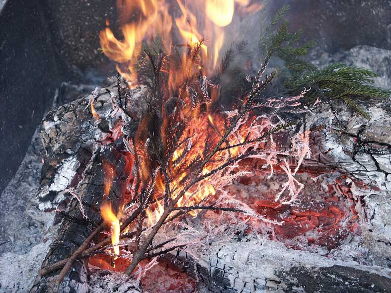 YH_GEROFIRE.JPG - 131,551BYTES