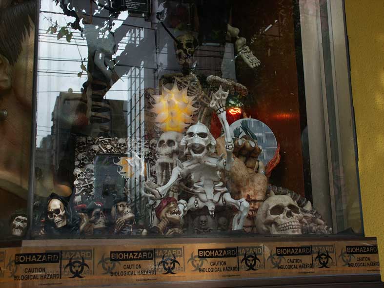 YKH_DOKURO1.JPG - 82,538BYTES