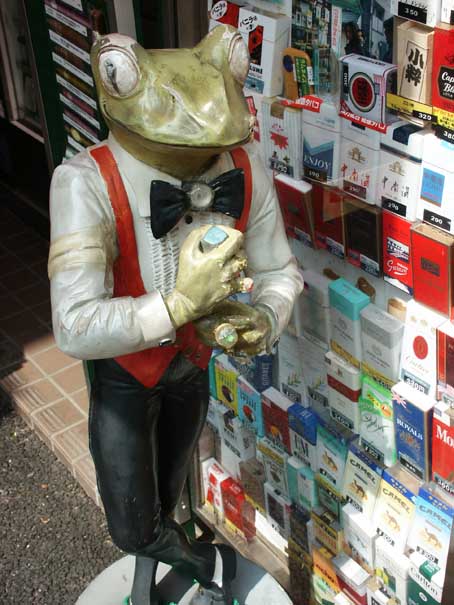 YKH_FROGMATCHI.JPG - 74,136BYTES