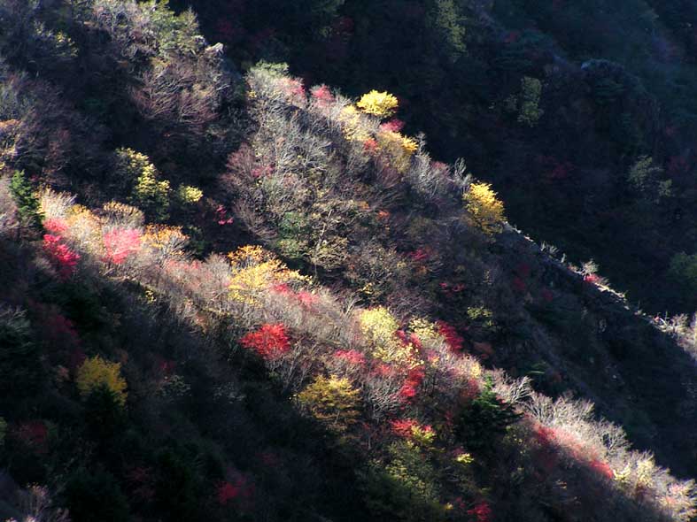 Z1NIKKO_HANGESTULIGHTRED.JPG - 94,181BYTES