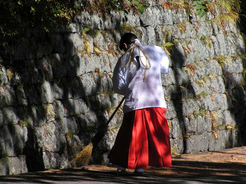 Z1NIKKO_MIKO.JPG - 115,532BYTES