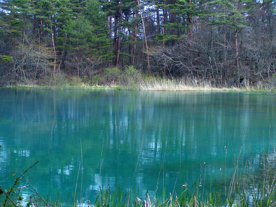 Z1_AONUMA430.JPG - 155,437BYTES