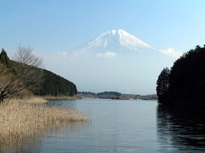 Z1_FUJI_TANUKIKOALL.JPG - 66,664BYTES