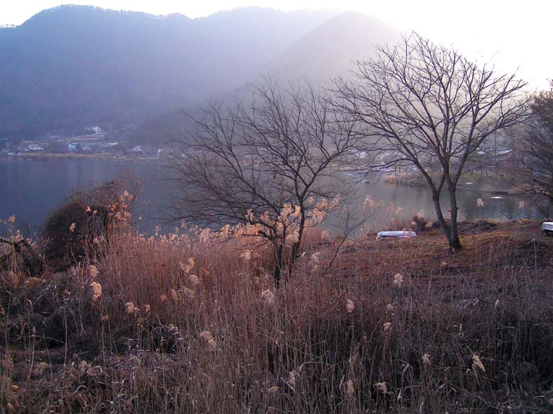 Z1_FUJI_KAWAGUTIKOSUSUKI.JPG - 111,153BYTES