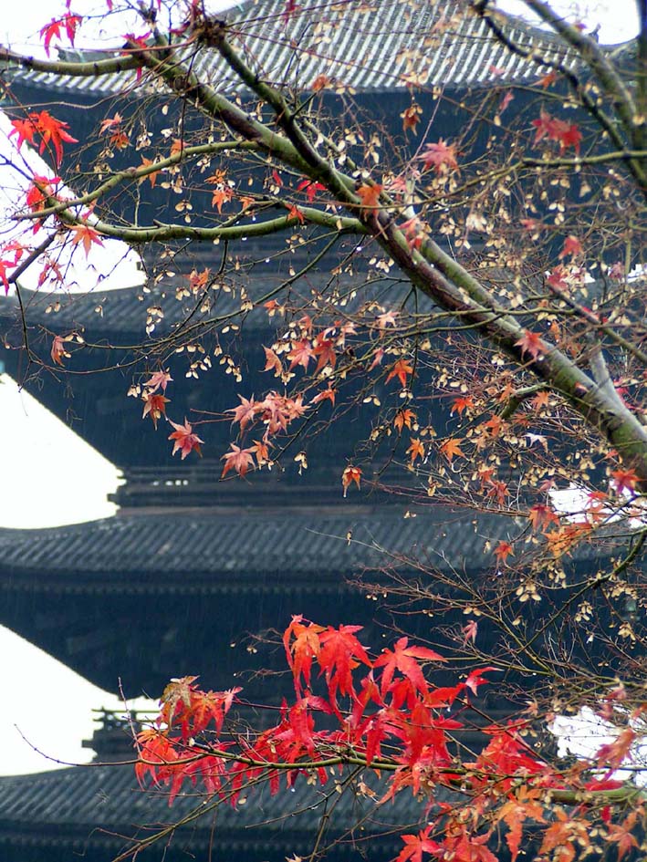 Z1_KYOTO_TOHJI.JPG - 209,915BYTES