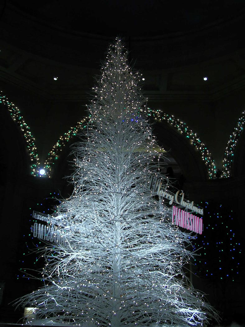Z1_ODAIBA_LIGHTTREE.JPG - 204,511BYTES