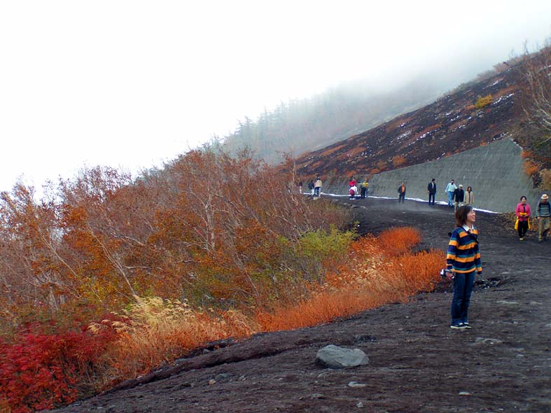 Z1_ORANGEFIRE.JPG - 102,591BYTES