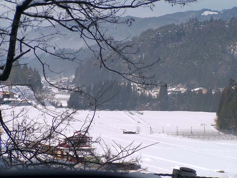 Z1_SHIRAKAWA_SHOKAWA.JPG - 124,676BYTES