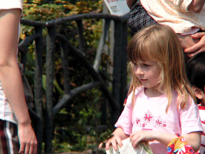 Z1_TAMA_GIRLALL.JPG - 72,930BYTES