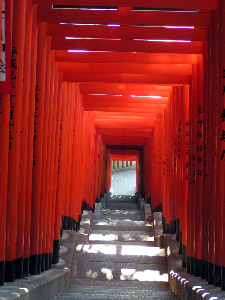 Z1_TOKYO_HIEJINJYA.JPG - 150,696BYTES