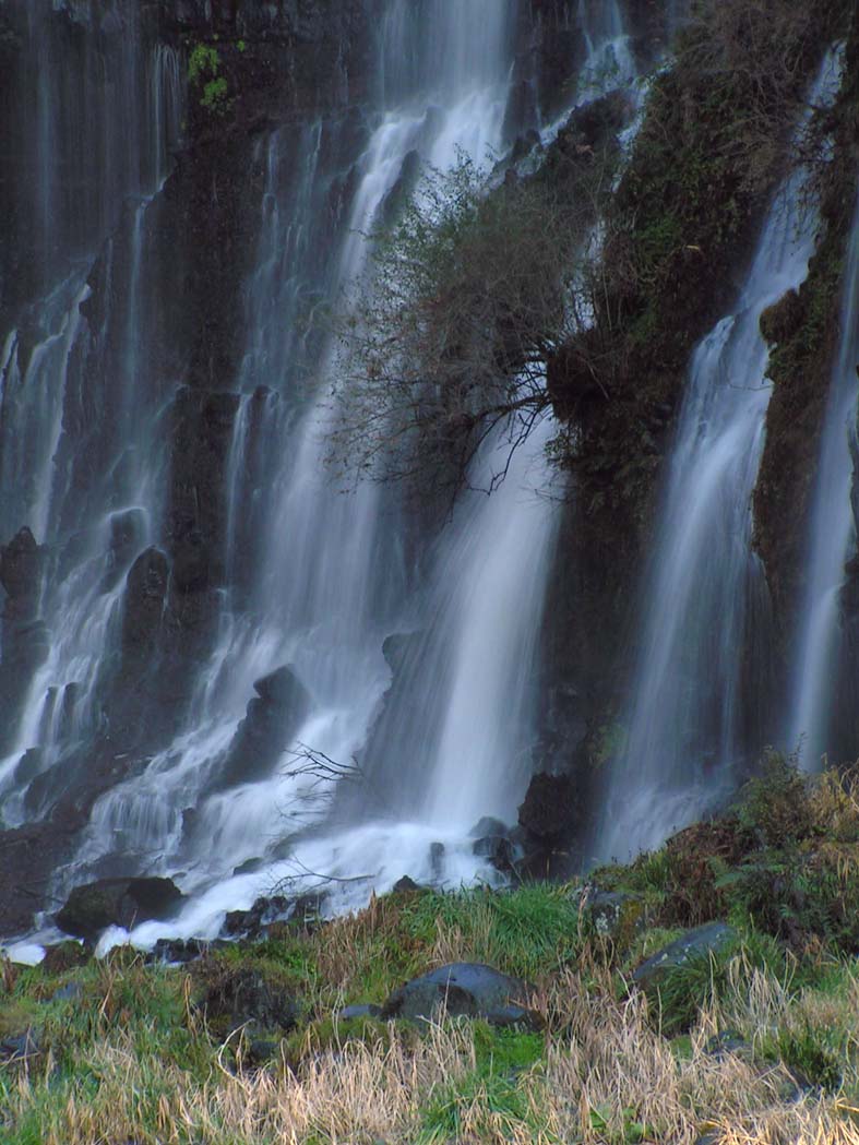 Z1_SHIRAITO_TATE.JPG - 135,753BYTES